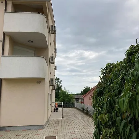 Cozy Varos * Πούλα